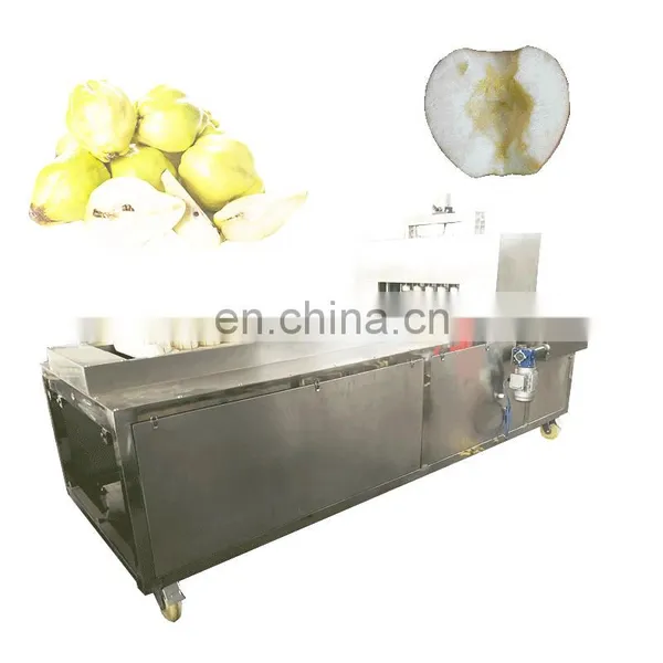 Competitive Price and High Quality Quinces Corer On Sale photo-3