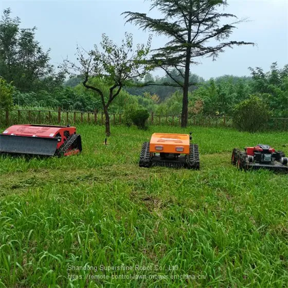 Lawn Mower Robot, China Rechargeable Brush Cutter Price, Radio Controlled Slope Mower for Sale photo-4