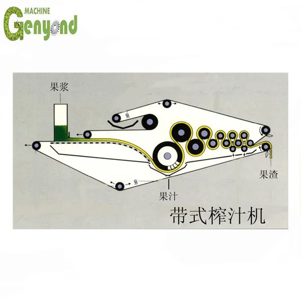 Shanghai High Quality Automatic Watermelon Avocado Pineapple Juice Processing Machine Plant photo-2