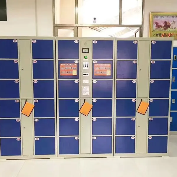 School Gym Locker Room Electronic Cabinet 12-Door PIN Code Steel Storage for PE Class Student Belongings