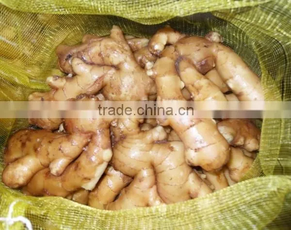 2016 Chinese Fresh Ginger Wet Dry Half Dry Skin Super Quality photo-3