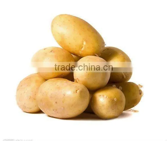 Potato Supplier
