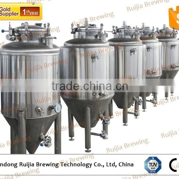 Ruijia Commercial Beer Brewery Equipment for Sale 50l photo-4