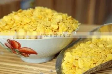 Breakfast Cereals/Corn Flakes Processing Line photo-6
