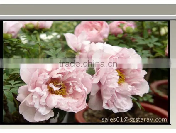High Quality Electric Motorized Projection Screen With CE and RoHS Certificate photo-6