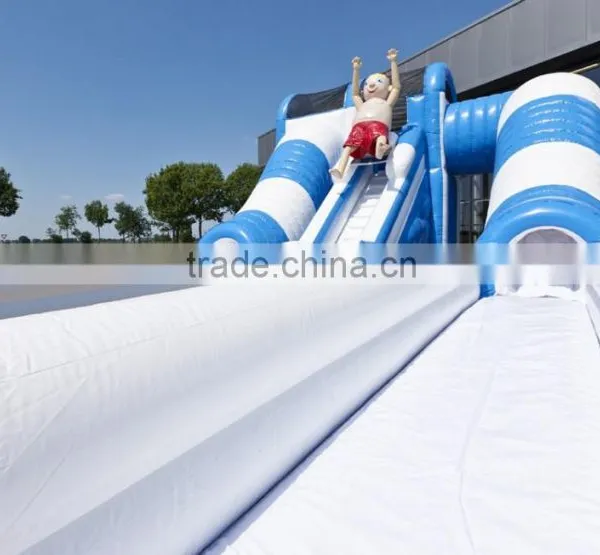 Color Customized Inflatable Water or Dry Slide / Special Design Inflatable Slide for Summer photo-6