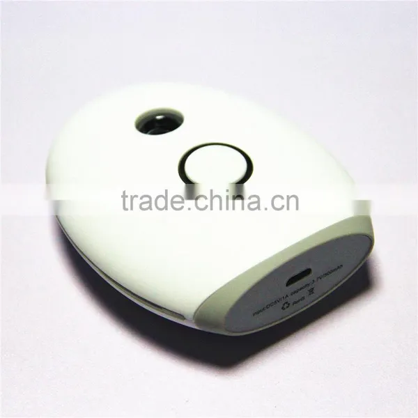 Stylish Design Egg Shape Pocket Nano Portable Facial Steamer photo-4