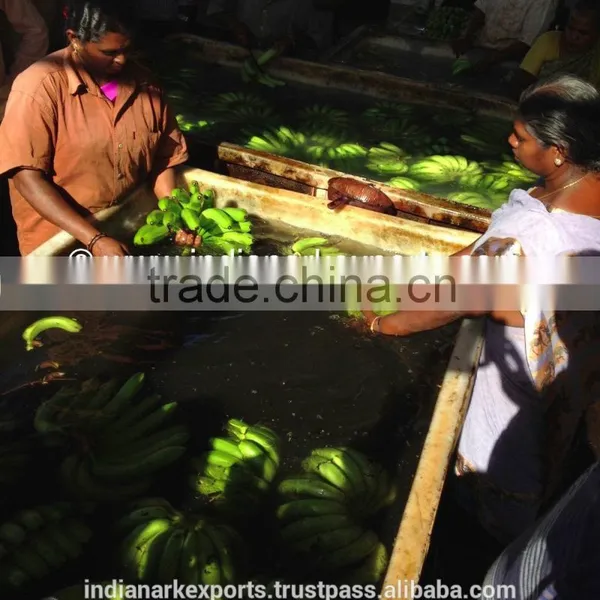 Fresh Cavendish Banana photo-4