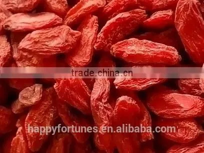 Goji Berry/ Wolfberry