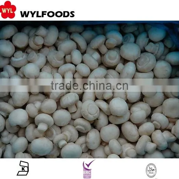 IQF China Price for Frozen Champignons Whole 2015 High Quality photo-3