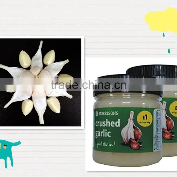 a Balanced Marinated Condiment,fresh Chilli,garlic,ginger,halal FoodsChinese Famous Brand,OEM photo-2