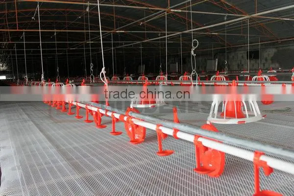 Poultry Farm Feeding Equipment photo-4