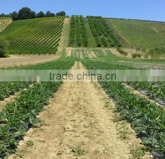 Nitrogen Fertilizer Ammonium Sulphate Crystal Granular photo-5