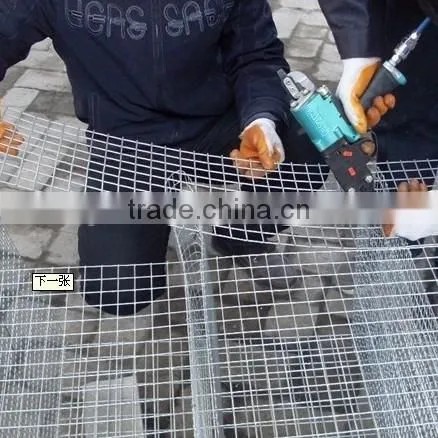 Hot Sale Mink Cages for Sale,gal Mink Weled Wire Mesh Cage,factory Direct Mink Cage photo-3