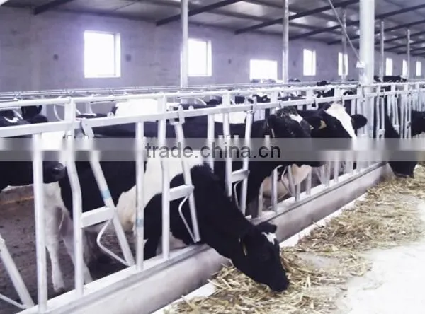Hot Dip Galvanized Cow Fence With Best Quality photo-4