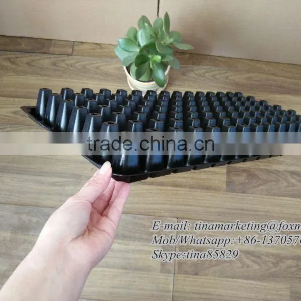 High Quality 105 Cell PS Plastic Plug Seedling Nursery Growing Tray for Gardening Seed Germination photo-3