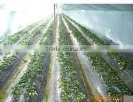 Soft Agricultural Film/agricultural Mulch Film /greenhouse Film photo-4