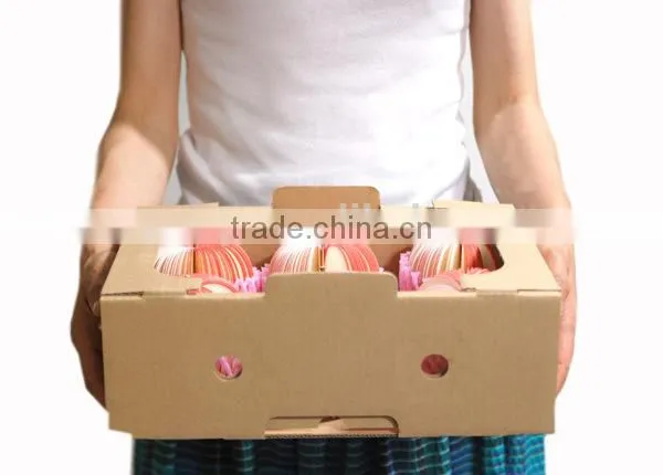 Promotional 3D Fruit Apple, Pear Watermelon Shaped Wholesale Note Paper Fruit Memo Pad photo-3