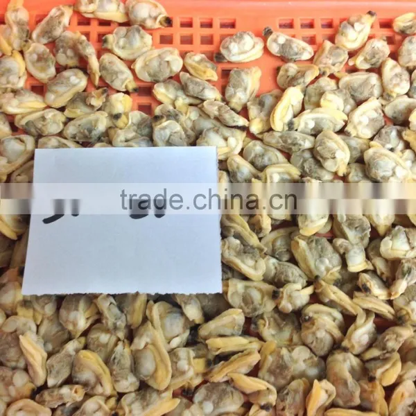 New Season High Quality Frozen Baby Clams Without Shell photo-3