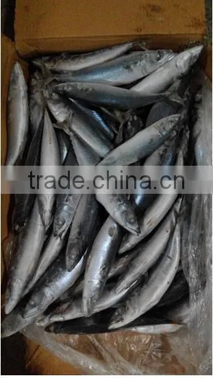 Frozen W/R Pacific Mackerel Good-quality Fresh Fish Seafood photo-4