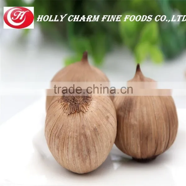 10kg Loose Carton Packing Carton Black Garlic photo-2