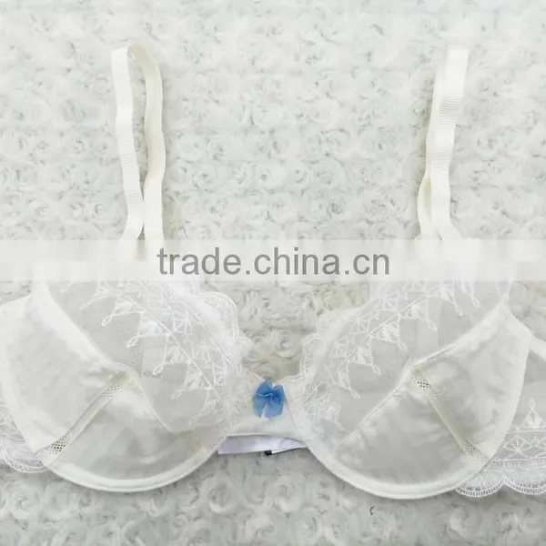 New Design Young Ladies White Embroidered Blue Bow Bra and Panty Set photo-2