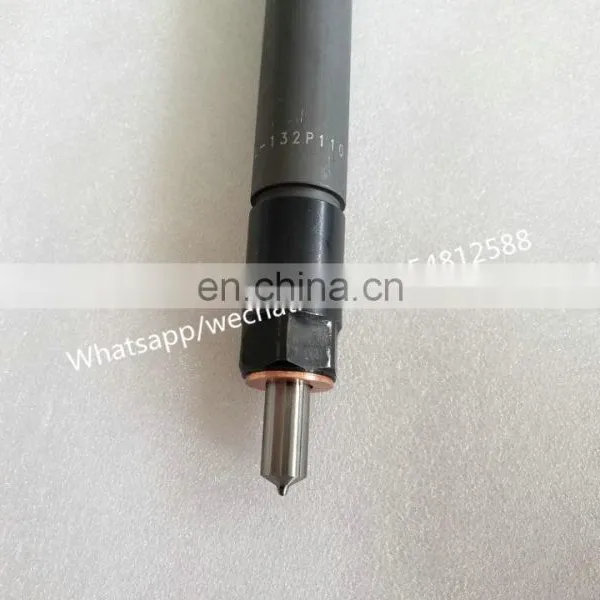 Топливный форсунка дизеля KBEL132P110 для двигателя WEICHAI WD615 photo-2