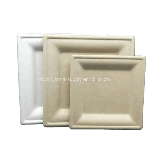 Low Price Biodegradable Disposable Bagasse ‎‎‎26 x 26 x 1.5 cm Square Dishes, for Barbecue, Birthday or Party. photo-2