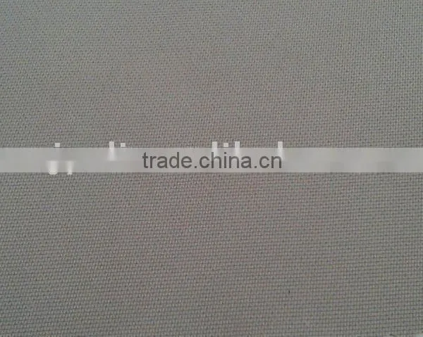 Polyester Taslan Fabric