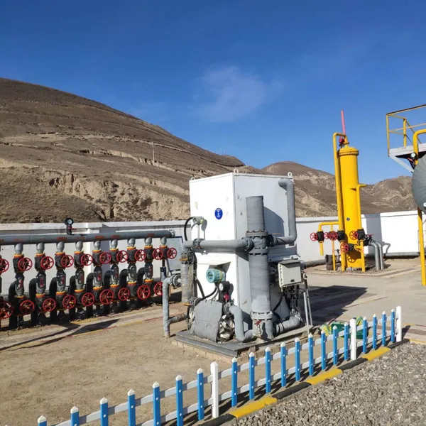 Single Well Multiphase Flow Meter (multiple Model ) photo-3