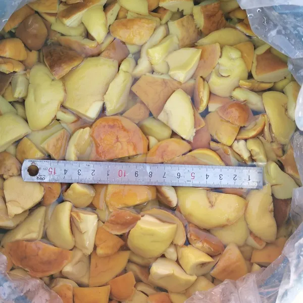 BOLETUS EDULIS IN BRINE