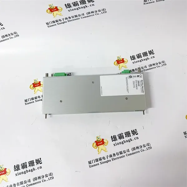 3500/22M 146031-01 Módulo de interfaz de datos transitorios | Sistema de monitoreo de vibración 3500
