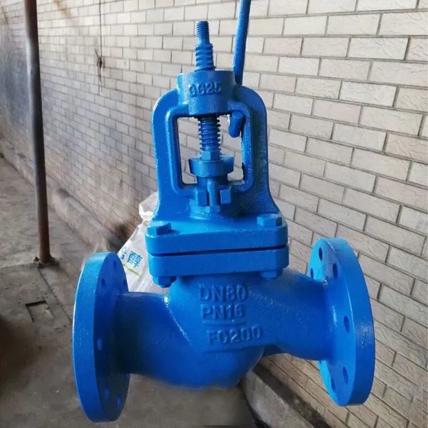 Reliable DIN Cast Iron Globe Valve With Brass Seat, PN16 Pressure Rating, DN50-250 photo-2
