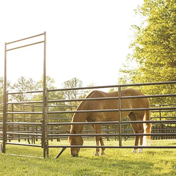 Horse Round Yard Livestock Panel Horse Stable Panels Round Pens photo-3
