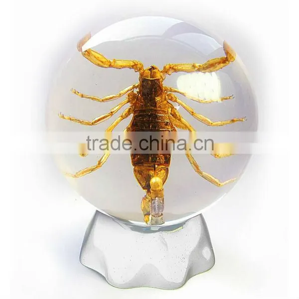 6.0 cm Real Resin Acrylic Marble Ball With Bugs photo-5