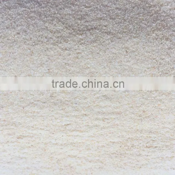 Top Quality China Shandong Dehydrated Garlic Granules 8-16/40-80 Mesh photo-4