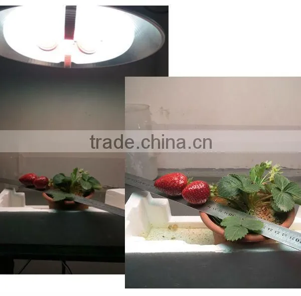Vertical Grow Systems Hydroponics 360w Led Grow Light photo-3