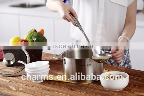 Charms Stainless Steel Straight Double Wall Casserole photo-4