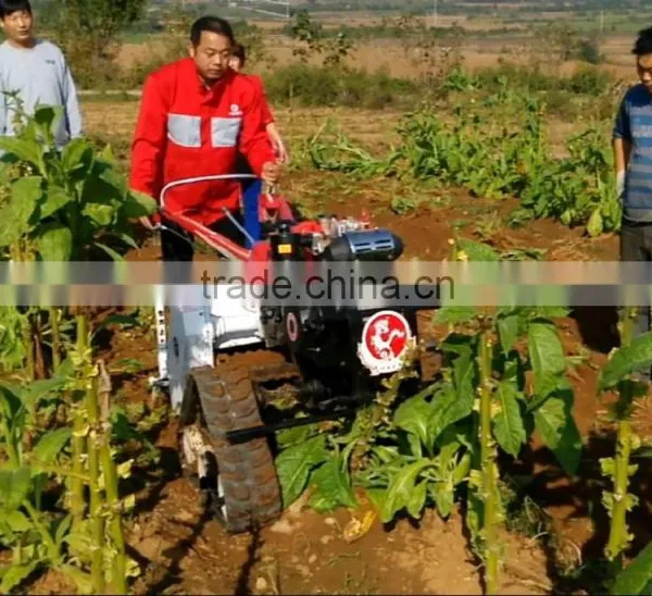 Agricultural Tool With Iron Wheel Green Corn Stalk Cutting Machine for Cow Silage Machine for Cutting Tobacco Stalk photo-2