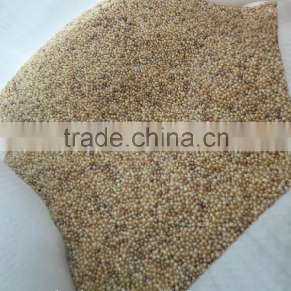 Freshwater Rice Pearl 2-2.5mm photo-4