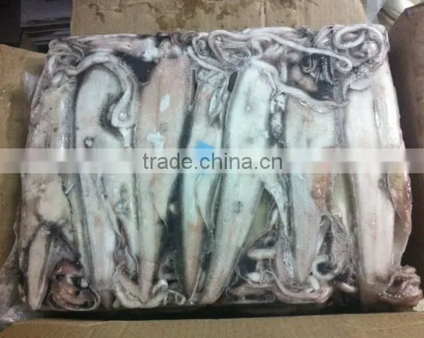 SQUID WHOLE SEMI NEEDLE photo-3