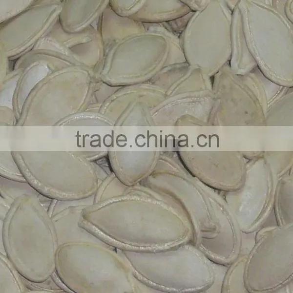 GWS Snow White Pumpkin Seeds Shine Skin Pumpkin Seeds Best Pumpkin Seeds Recipe photo-6