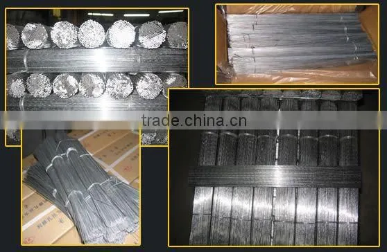 Low Price Electro Galvanized Iron Straight Cut Wire(Tommy,Whatsapp:+86-18032821161,website:zheng.tommy1) photo-2