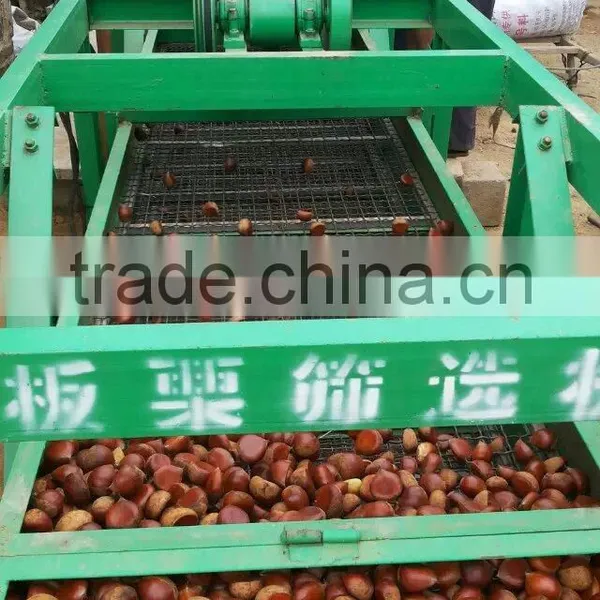 Chinese Raw Chestnuts photo-2
