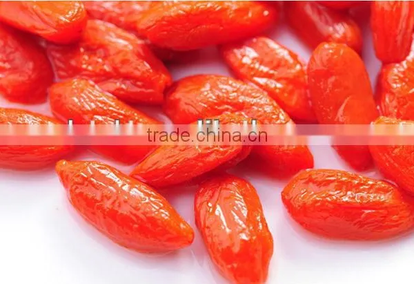 Certified Organic Goji Berry