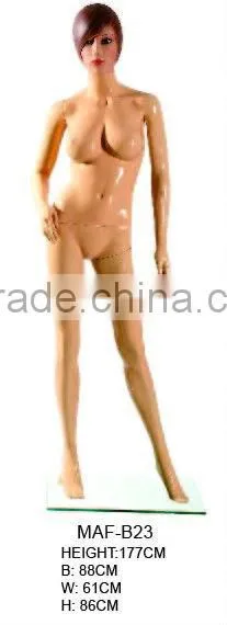 New Fashion Style With Plus Size Bust Mannequins photo-2