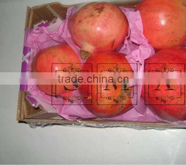 Pomegranate photo-5