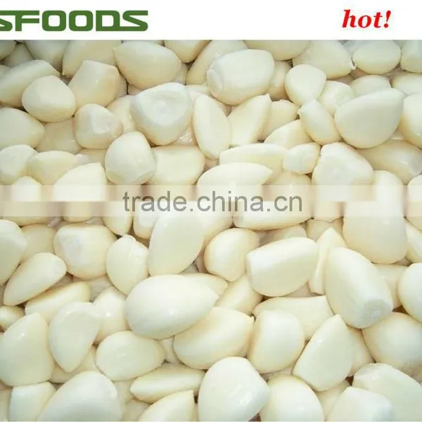 IQF Frozen Garlic Dice Garlic Minced Garlic Cube HOT SALE photo-5