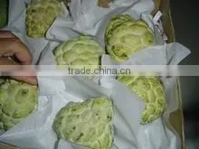 Fresh & Cheaper Custard Apple