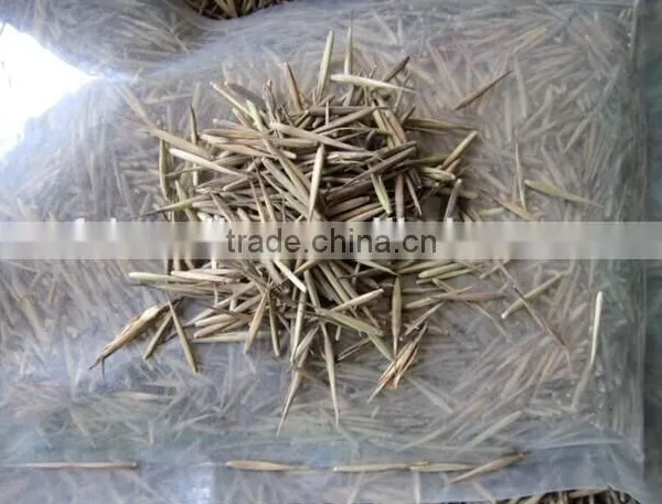 Moso Bamboo Seeds For Cultivation photo-2